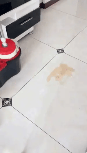 360 Spin Cleaning Mop